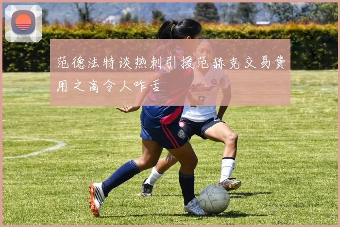 范德法特谈热刺引援范赫克交易费用之高令人咋舌