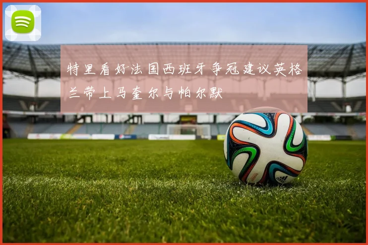 特里看好法国西班牙争冠建议英格兰带上马奎尔与帕尔默