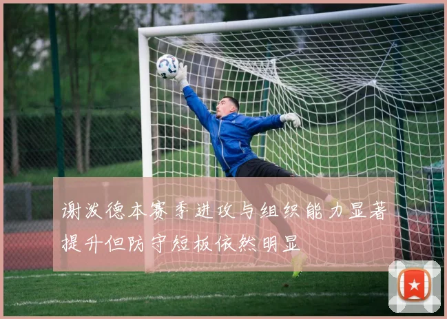 谢泼德本赛季进攻与组织能力显著提升但防守短板依然明显